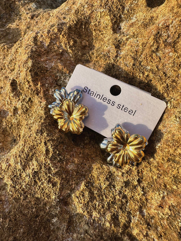 Stainless steel earrings