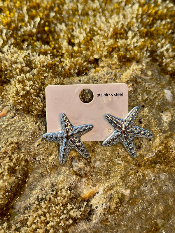 Stainless steel earrings αστερίες