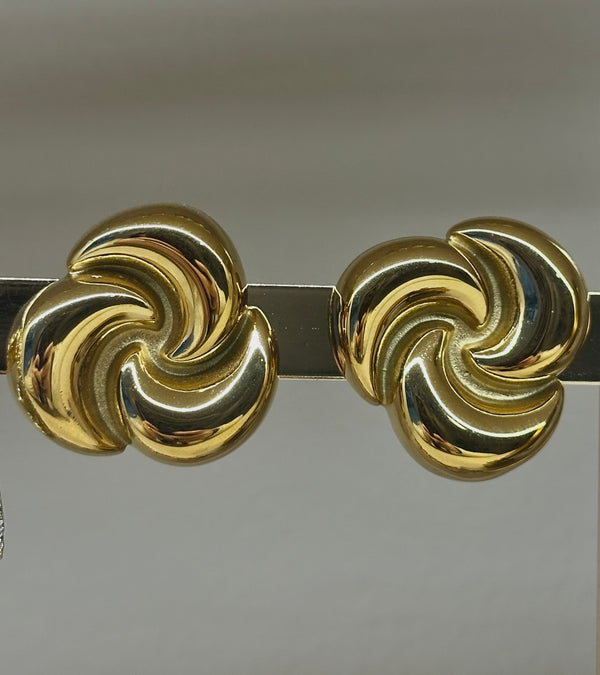 Stainless steel earrings