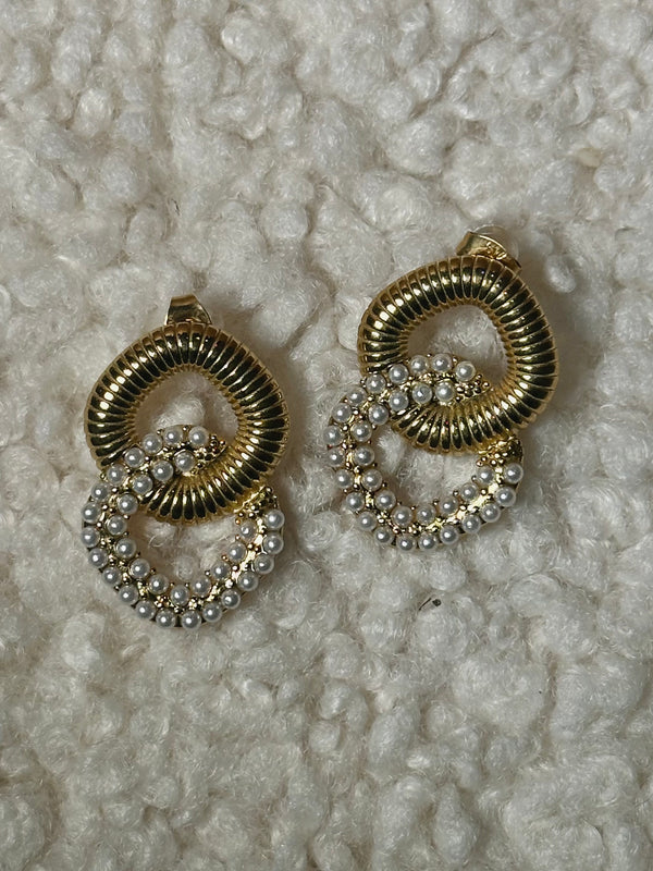 Stainless steel earrings