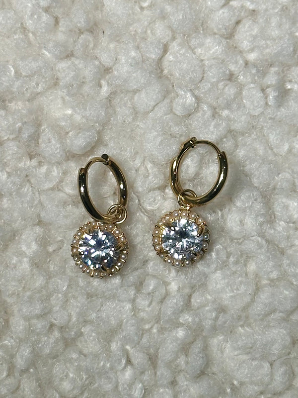 Stainless steel earrings